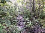 Culvert Crossing, Fort Kent, Maine