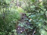 Culvert Crossing, Fort Kent, Maine