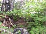 Multiple Culvert Crossing, Eagle Lake, Maine