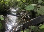 Culvert Crossing, Fort Kent, Maine