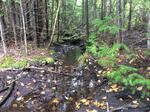 Culvert Crossing, T7 R16 WELS, Maine