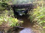 Bridge Crossing, T7 R16 WELS, Maine