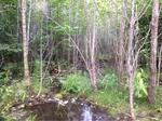 Culvert Crossing, Eagle Lake, Maine