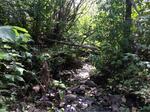 Culvert Crossing, Fort Kent, Maine