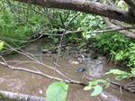 Culvert Crossing, Madawaska, Maine