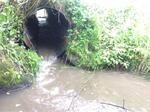 Culvert Crossing, Madawaska, Maine