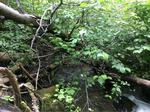 Multiple Culvert Crossing, Madawaska, Maine