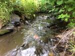 Multiple Culvert Crossing, Madawaska, Maine