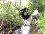 Culvert Crossing, Grand Isle, Maine
