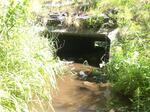 Culvert Crossing, Grand Isle, Maine