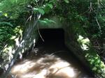 Culvert Crossing, Grand Isle, Maine