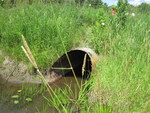 Culvert Crossing at Bog Rd, Vassalboro, Maine