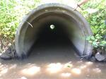 Culvert Crossing, Grand Isle, Maine