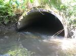 Culvert Crossing, Grand Isle, Maine
