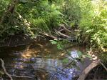 Culvert Crossing, Grand Isle, Maine