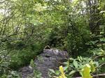 Culvert Crossing, Madawaska, Maine