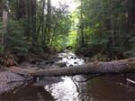 Culvert Crossing, Winterville Plt, Maine
