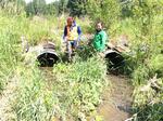Multiple Culvert Crossing, Cross Lake Twp, Maine