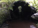 Culvert Crossing, T16 R6 WELS, Maine