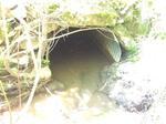 Culvert Crossing, Madawaska, Maine