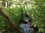 Culvert Crossing, New Canada, Maine