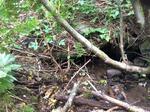 Culvert Crossing, T9 R17 WELS, Maine