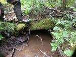 Culvert Crossing, T9 R17 WELS, Maine