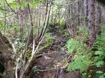 Culvert Crossing, T9 R17 WELS, Maine
