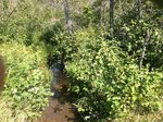 Culvert Crossing, T9 R17 WELS, Maine
