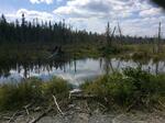Culvert Crossing, T9 R17 WELS, Maine