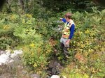 Culvert Crossing, T8 R16 WELS, Maine