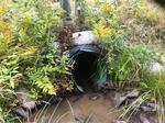 Culvert Crossing, T8 R16 WELS, Maine