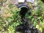Culvert Crossing, T8 R16 WELS, Maine