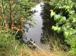 Culvert Crossing, Bethel, Maine