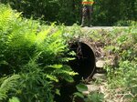 Culvert Crossing, Turner, Maine