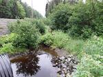 Culvert Crossing, Cross Lake Twp, Maine