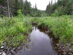 Culvert Crossing, Cross Lake Twp, Maine