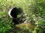 Culvert Crossing at Boom Rd, Saco, Maine
