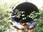 Culvert Crossing, Jay, Maine