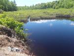 Culvert Crossing, Fayette, Maine