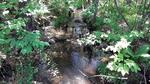 Culvert Crossing, Livermore Falls, Maine