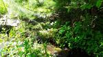 Culvert Crossing, Livermore Falls, Maine