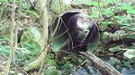 Culvert Crossing, T5 R7 BKP WKR, Maine