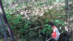 Culvert Crossing, T5 R7 BKP WKR, Maine