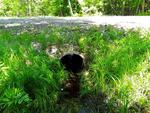 Multiple Culvert Crossing, Fayette, Maine