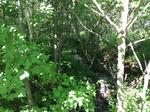 Culvert Crossing, Bethel, Maine