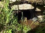 Culvert Crossing, Bethel, Maine