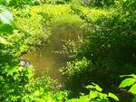 Culvert Crossing, Fayette, Maine