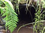 Culvert Crossing, Bethel, Maine