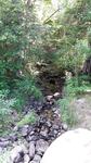 Culvert Crossing, Parlin Pond Twp, Maine
